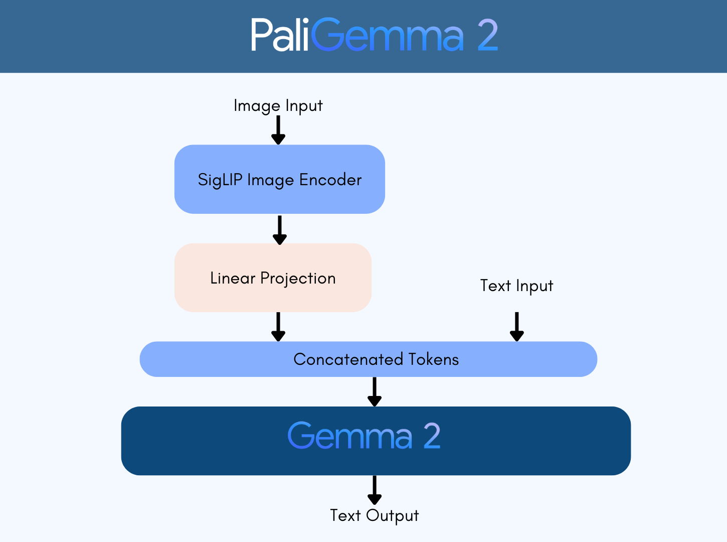 PaliGemma2 Architecture